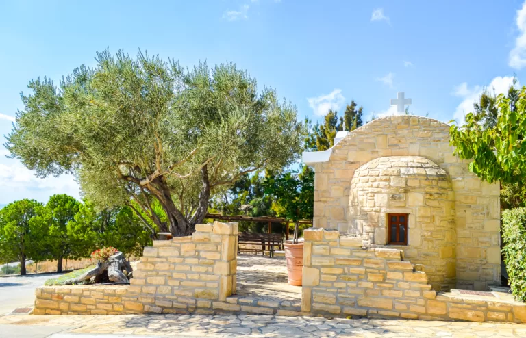 a tree in front of a brick wall